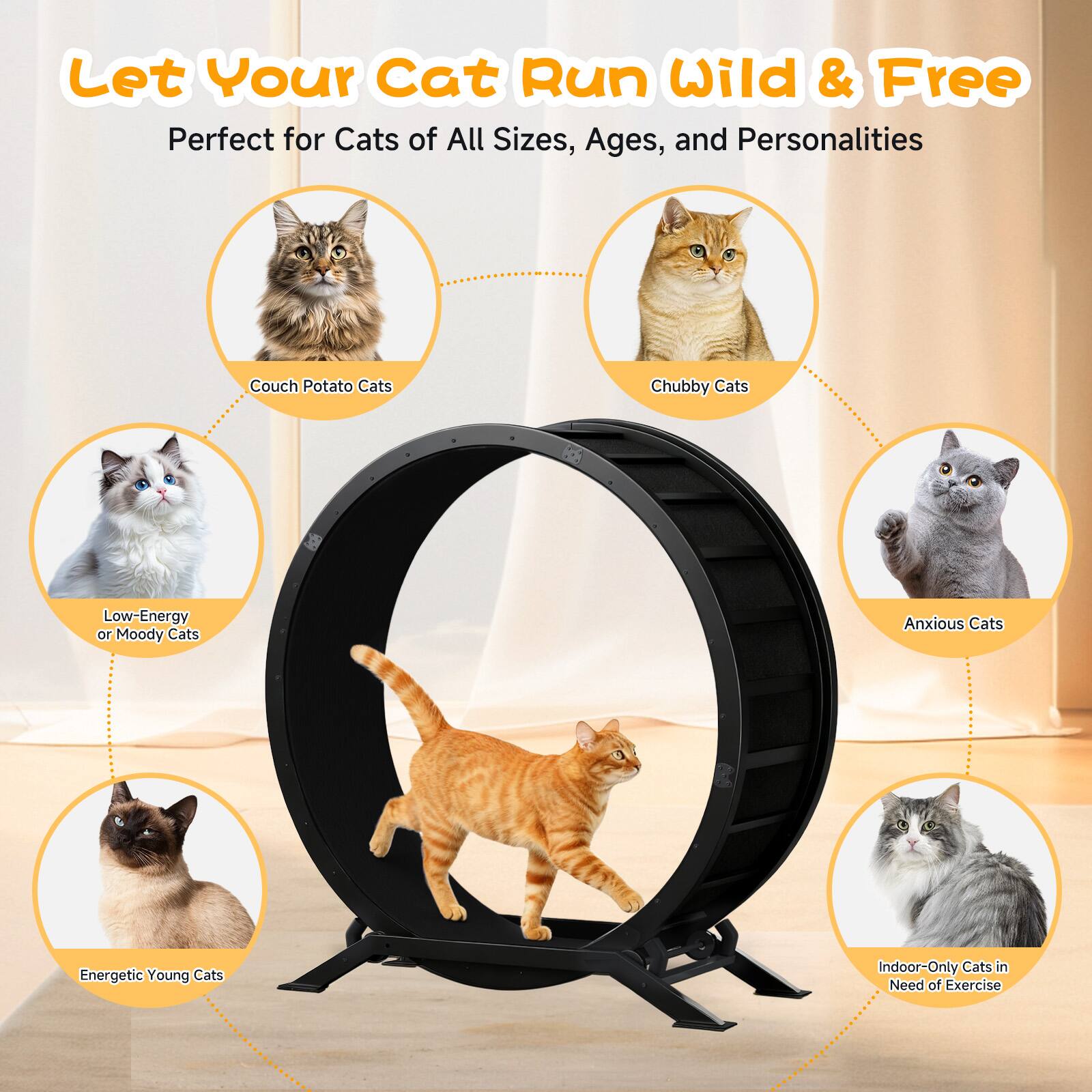 Let Your Cat Run Wild & Free  
Perfect for Cats of All Sizes, Ages, and Personalities  

- Couch Potato Cats  
- Chubby Cats  
- Low-Energy or Moody Cats  
- Anxious Cats  
- Energetic Young Cats  
- Indoor-Only Cats in Need of Exercise