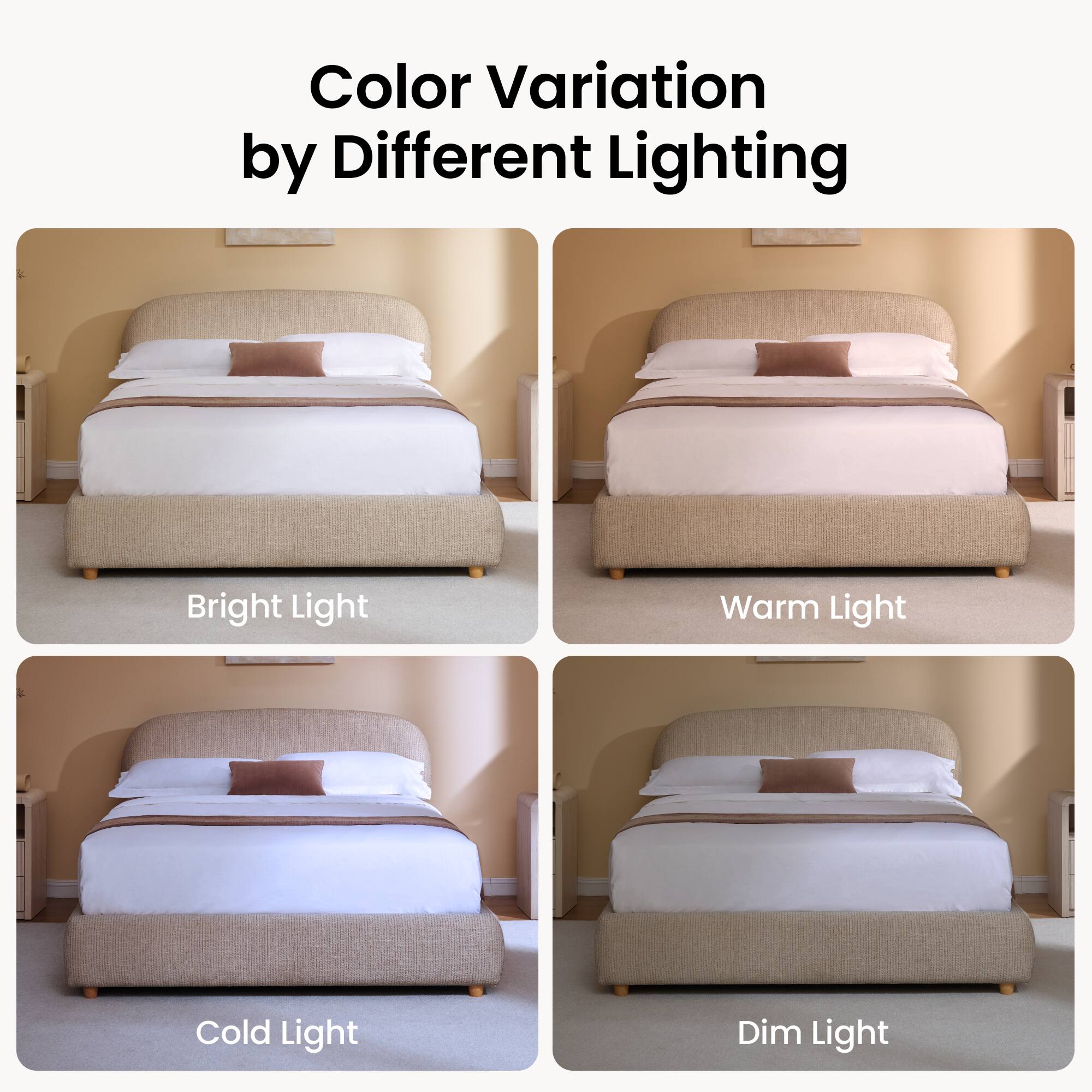 Color Variation by Different Lighting

Bright Light

Warm Light

Cold Light

Dim Light