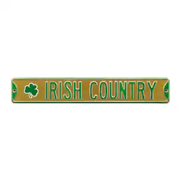 Authentic Street Signs - Notre Dame Fighting Irish 6" x 36" College Ave Team Street Sign - Gold