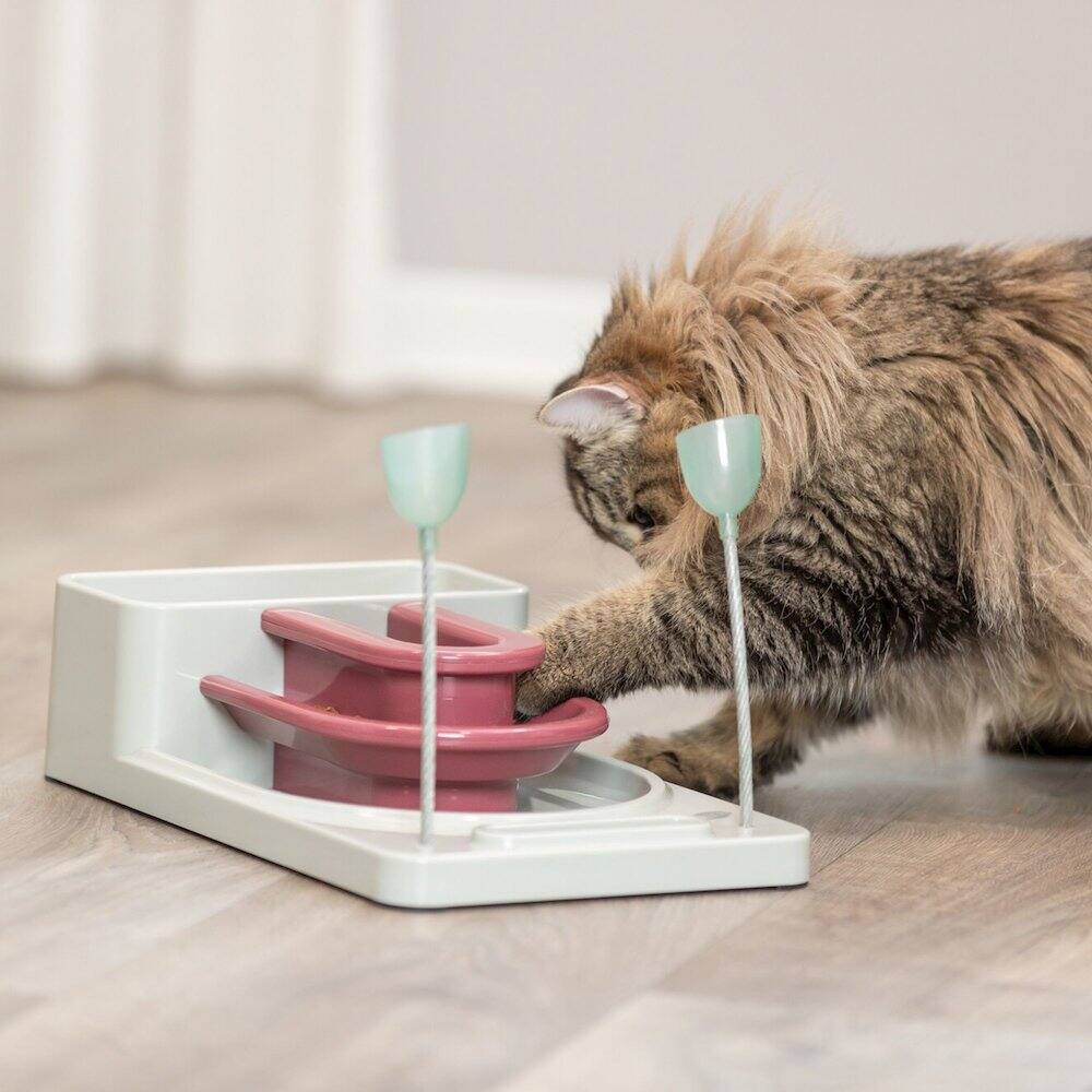 Left. TRIXIE - Fantasy Board Strategy Game for Cats, Puzzle Toy, Treat Dispenser - Pink/Gray.