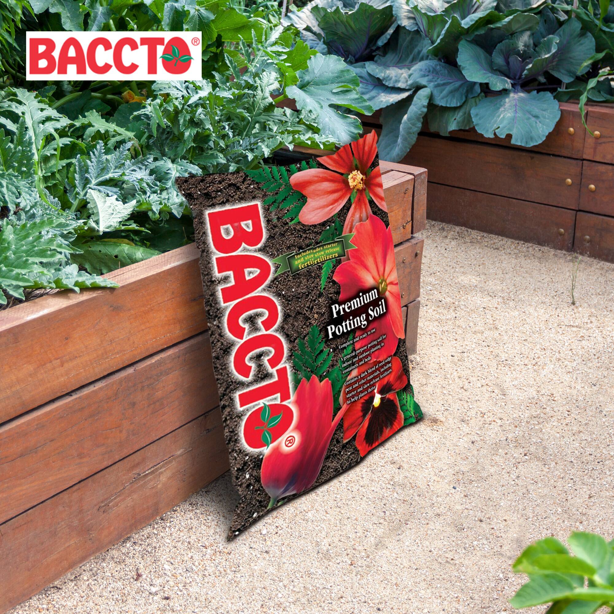 BACCTO®

Premium Potting Soil

BACCTO®

Premium Potting Soil

BACCTO®

Premium Potting Soil

BACCTO®

Premium Potting Soil

BACCTO®

Premium Potting Soil

BACCTO®

Premium Potting Soil

BACCTO®

Premium Potting Soil

BACCTO®

Premium Potting Soil

BACCTO®

Premium Potting Soil

BACCTO®

Premium Potting Soil

BACCTO®

Premium Potting Soil

BACCTO®

Premium Potting Soil

BACCTO®

Premium Potting Soil

BACCTO®

Premium Potting Soil

BACCTO®

Premium Potting Soil

BACCTO®

Premium Potting Soil

BACCTO®

Premium Potting Soil

BACCTO®

Premium Potting Soil

BACCTO®

Premium Potting Soil

BACCTO®

Premium Potting Soil

BACCTO®

Premium Potting Soil

BACCTO®

Premium Potting Soil

BACCTO®

Premium Potting Soil

BACCT
