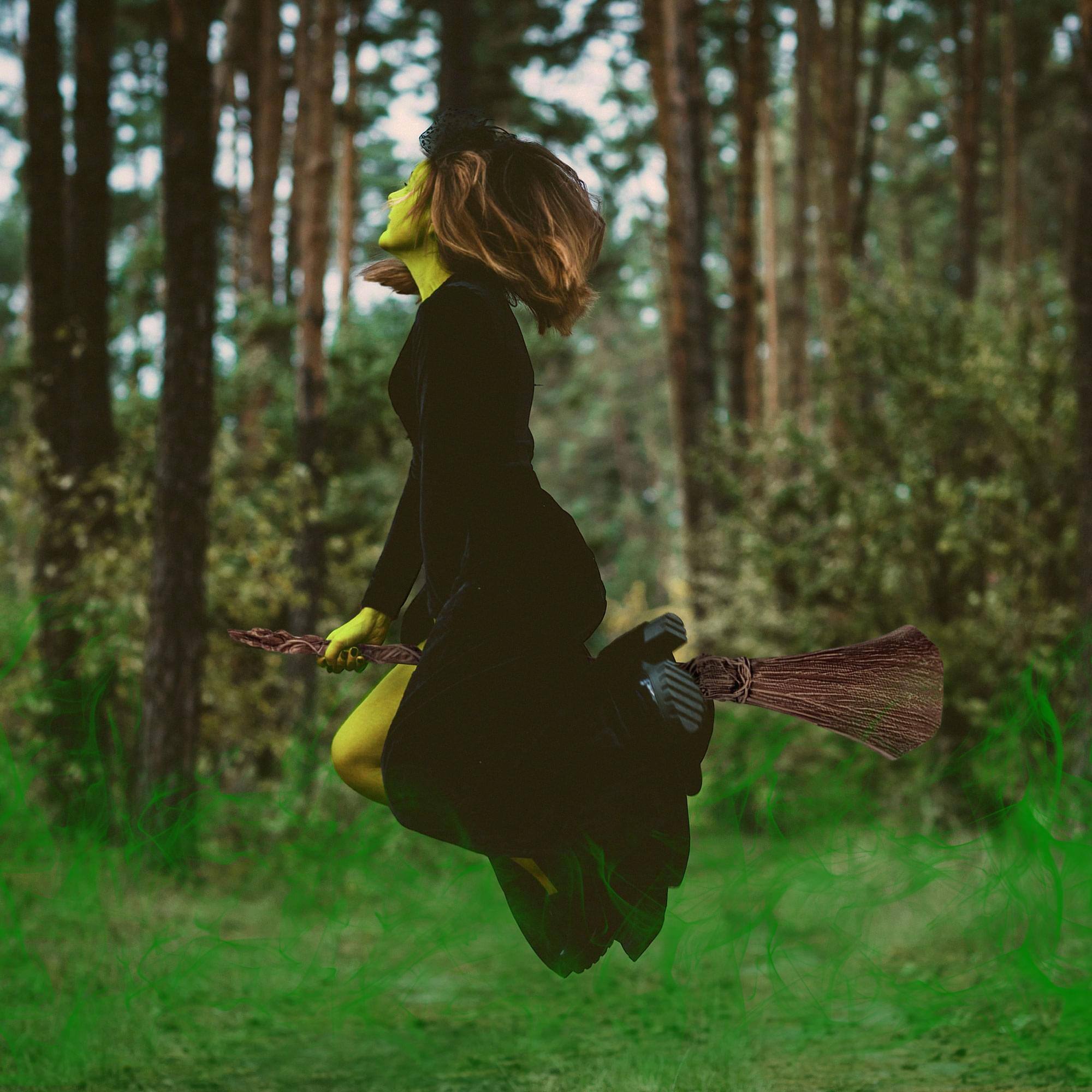 Alt View 10. Disguise - Wicked Elphaba Broom Adult Costume Accessory - Brown.