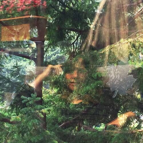 Jennifer Castle - Angels Of Death   - COMPACT DISCS [CD]