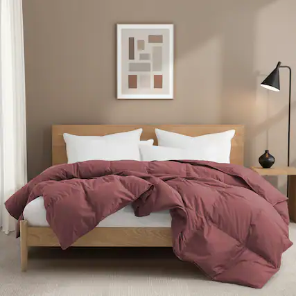 Front. Puredown - Puredown All Season Organic Cotton Down & Feather Comforter Made in Germany, Red, Twin - Red.