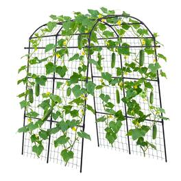 VEVOR - Cucumber Trellis, U-Shape Garden Trellises for Raised Bed, Metal Arch Plant Support for Vine, Climbing Plants Outdoor - Black