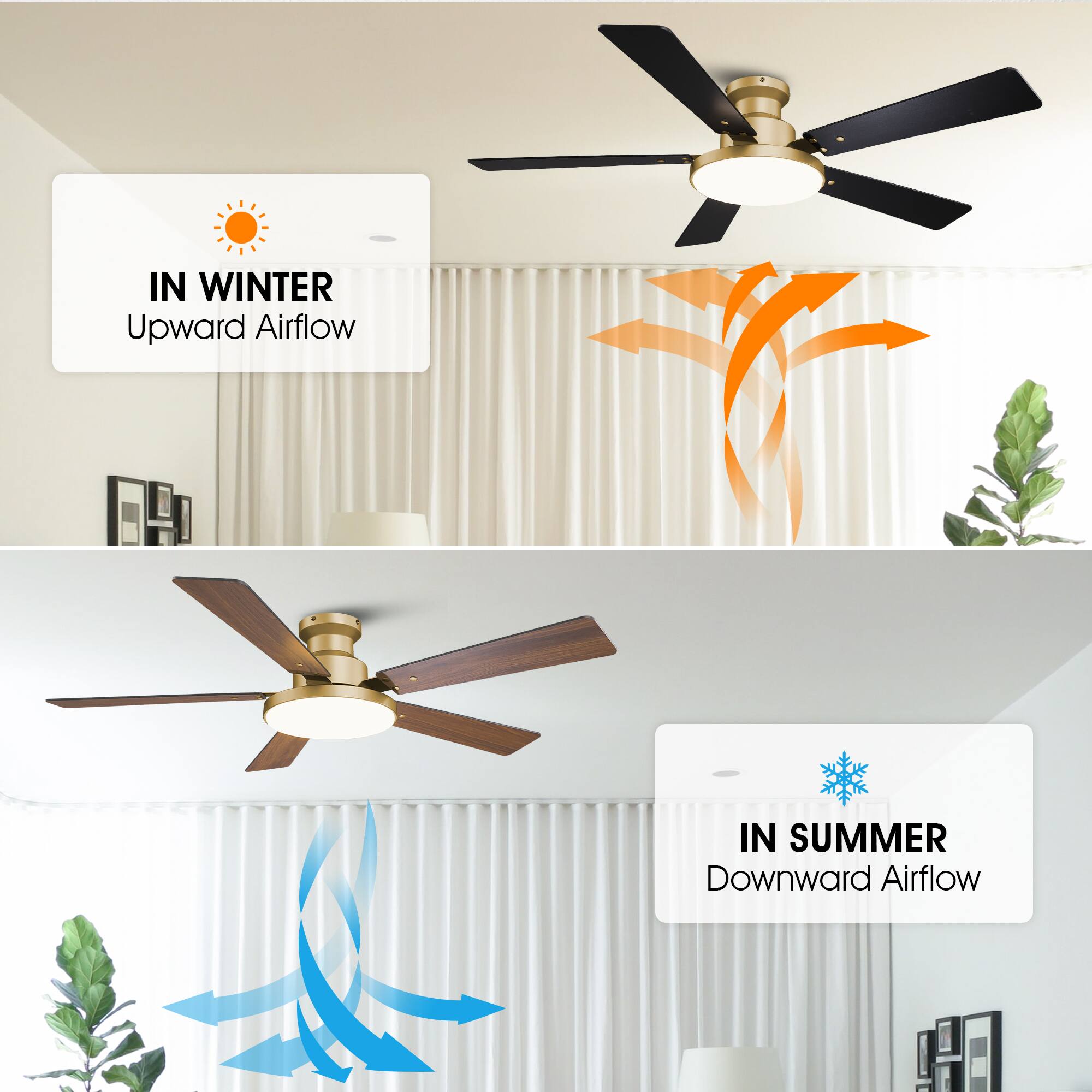 IN WINTER  
Upward Airflow  

IN SUMMER  
Downward Airflow