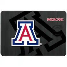 WILDCATS
FAST CHARGE