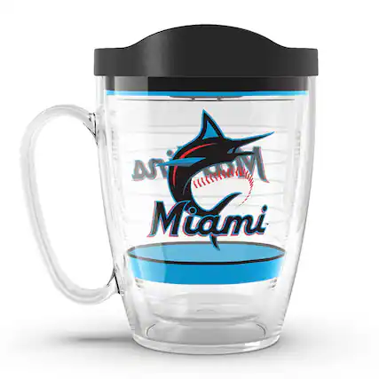 Dolphins Miami