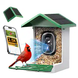 isYoung - Wireless Smart Bird Watching Camera Feeder, 2.5K QHD, AI 16,000+ ID, Dual Solar Panels, Motion Detection, IP65, 170°View - Green+White