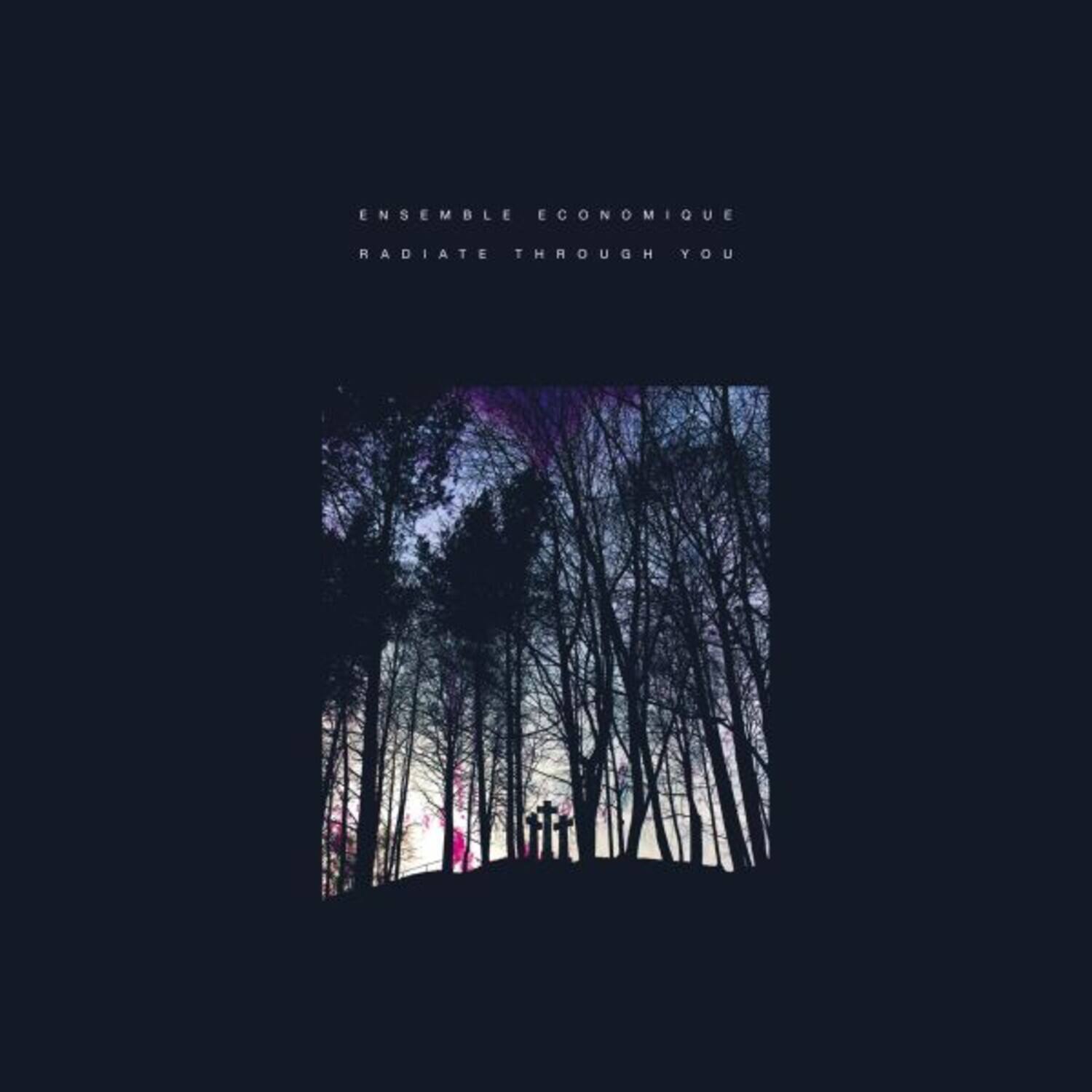 Ensemble Economique - Radiate Through You   - COMPACT DISCS [CD] price history on PriceWatchPro