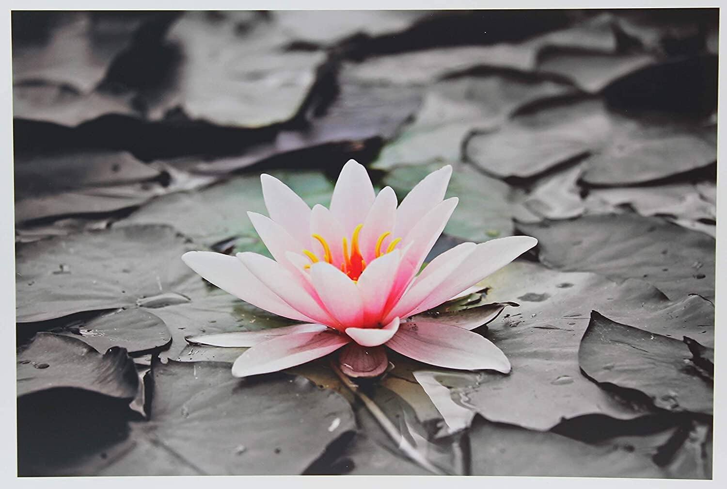 Alt View 5. Photo Paper Direct - Glossy Photo Paper 11x17 for Inkjet Printers (50 sheets/280 gsm) - White.