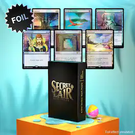 Wizards of The Coast - Magic the Gathering: Secret Lair Mark Poole - Foil