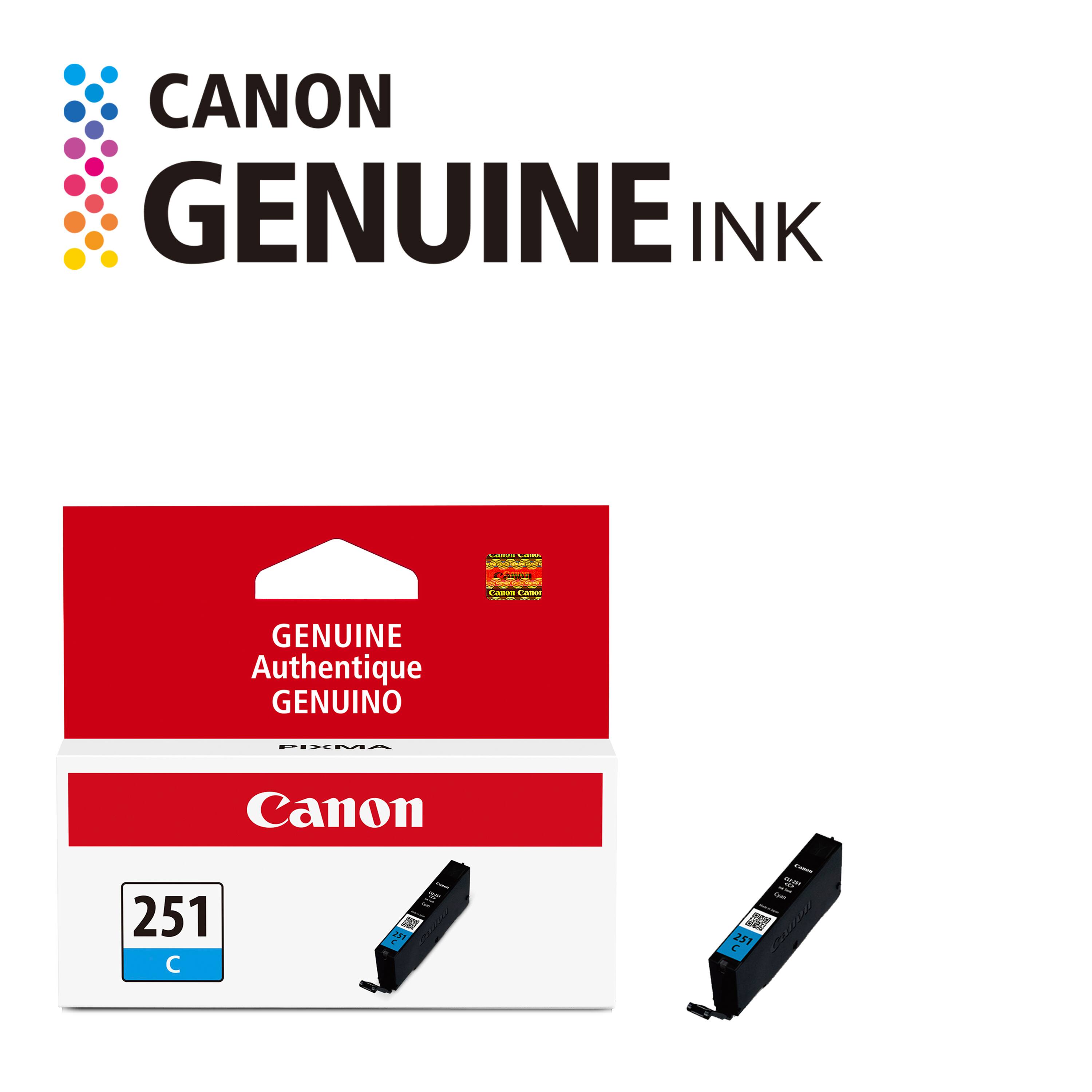 CANON GENUINE INK

LEIVE Camps

CARD

Canon Cartridge

GENUINE Authentique GENUINO

PIXMA

Canon

251