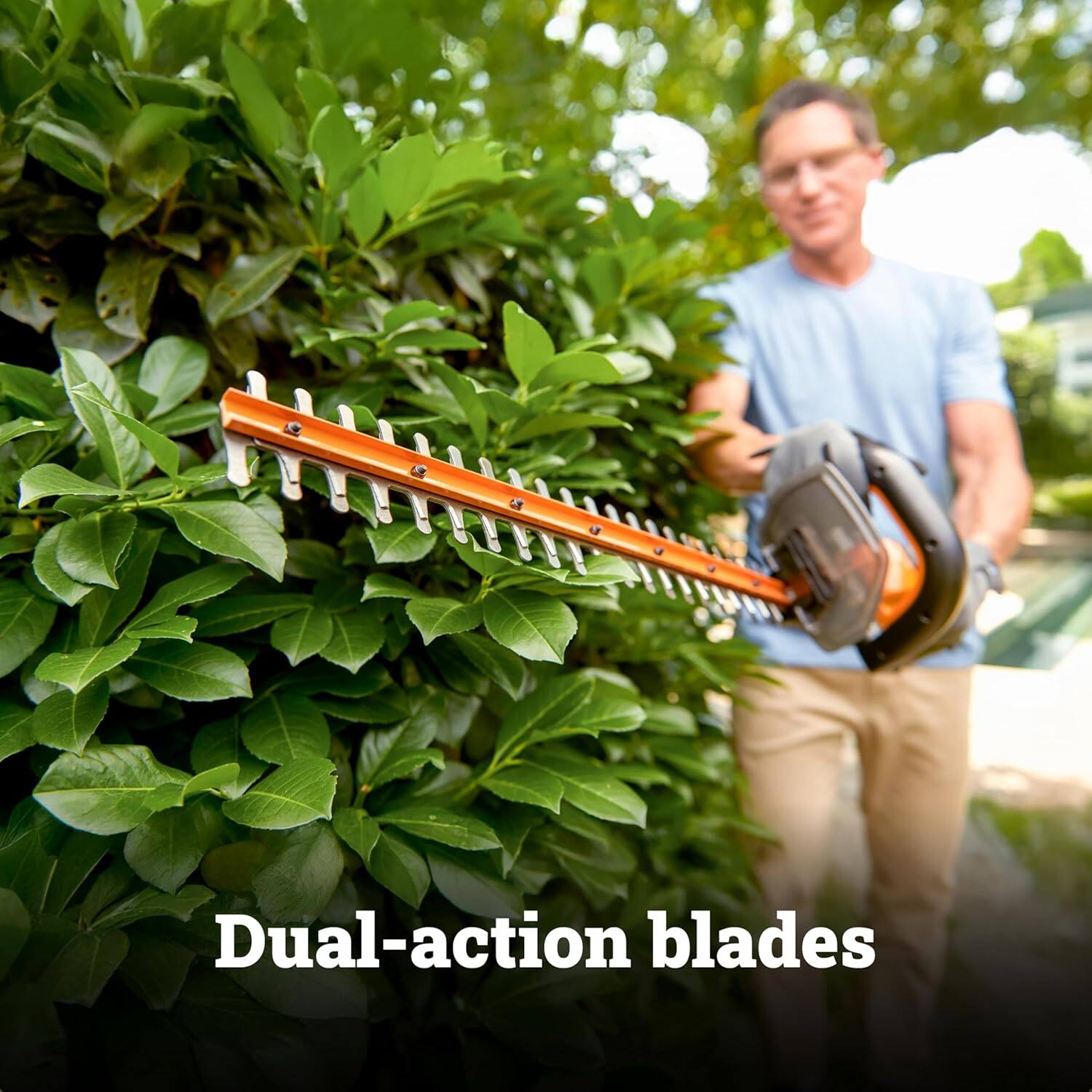Dual-action blades