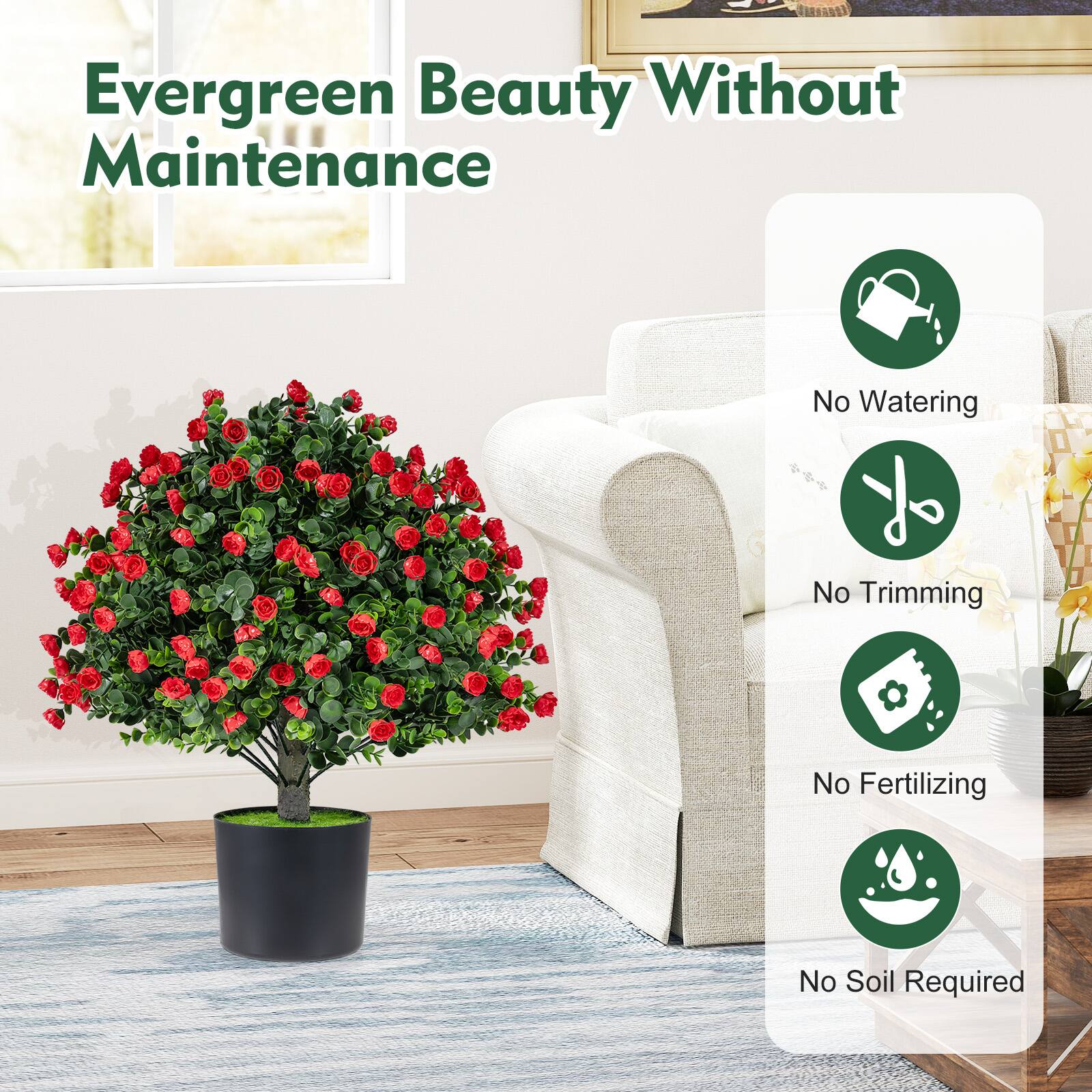 Evergreen Beauty Without Maintenance

No Watering  
No Trimming  
No Fertilizing  
No Soil Required