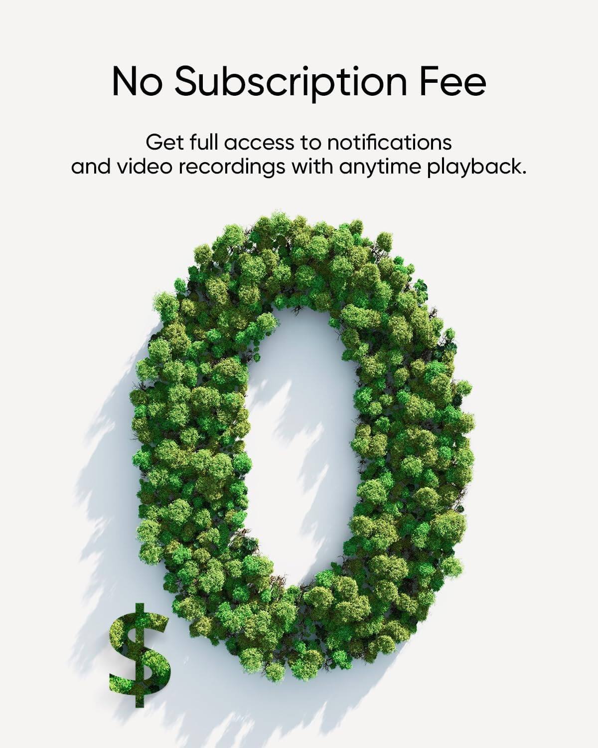 No Subscription Fee

Get full access to notifications and video recordings with anytime playback.