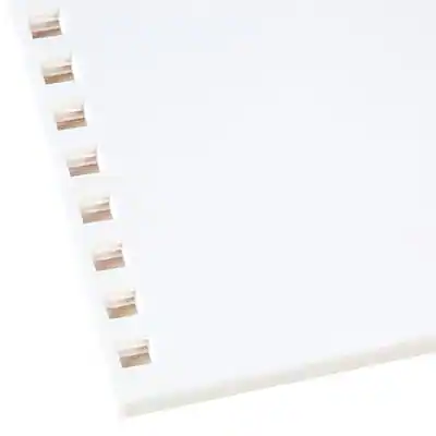 GBC 250 Sheet Pre Punched Paper, 8 1/2