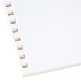 GBC - 250 Sheet Pre-Punched Paper, 8 1/2" x 11" (2514479) - White