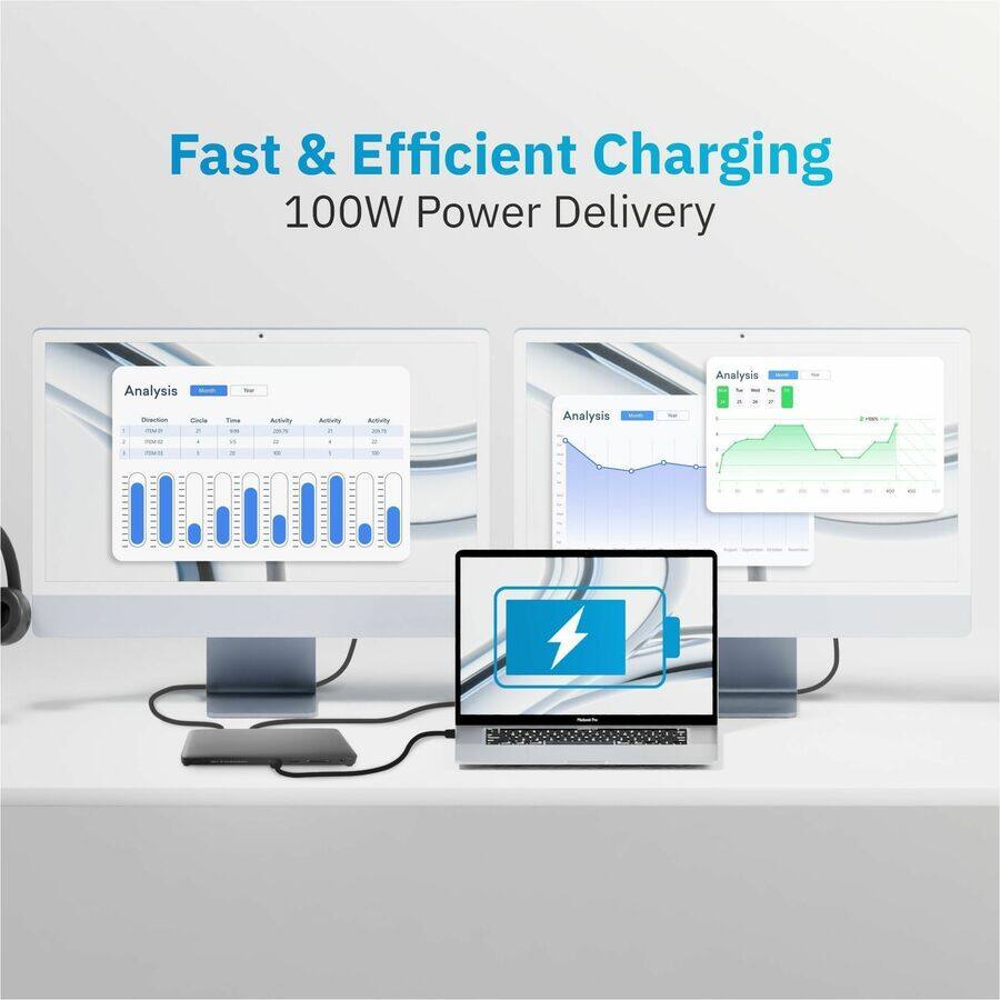 Fast & Efficient Charging  
100W Power Delivery  

Analysis  
- Discharge  
- Cycle  
- Time  
- Autonomy  
- Autonomy  
- Autonomy  

Analysis  
- Year  
- Autonomy  
- Autonomy  
- Autonomy