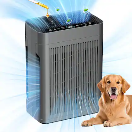 Front. GlowWise - Air Purifier for Home Large Room Bedroom Up to 3000 Sq Ft with Washable Filters, PM 2.5 Sensor, Air Cleaner for Dust. - Dark Gray.