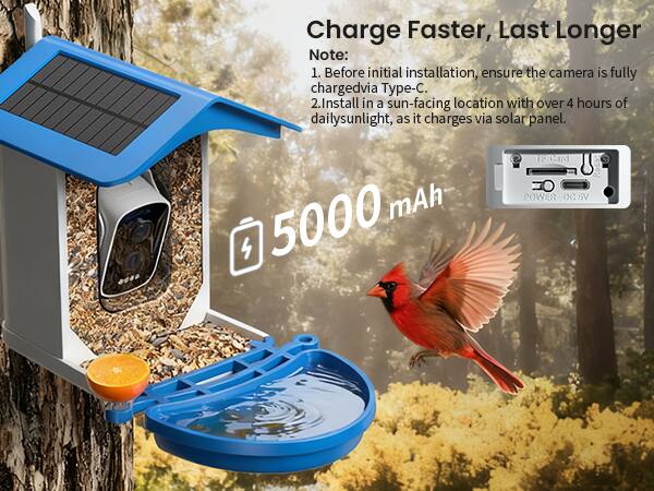 Charge Faster, Last Longer

Note:
1. Before initial installation, ensure the camera is fully charged via Type-C.
2. Install in a sun-facing location with over 4 hours of daily sunlight, as it charges via solar panel.

5000 mAh

TF Card
POWER DC5V