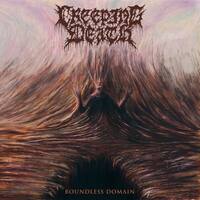 Boundless Domain [Clear Vinyl] [LP] - VINYL - Front_Zoom