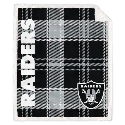 RAIDERS
RAIDERS