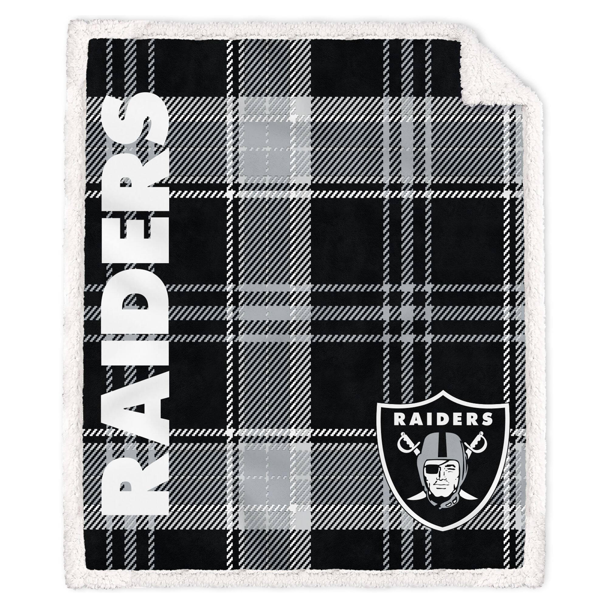 RAIDERS  
RAIDERS