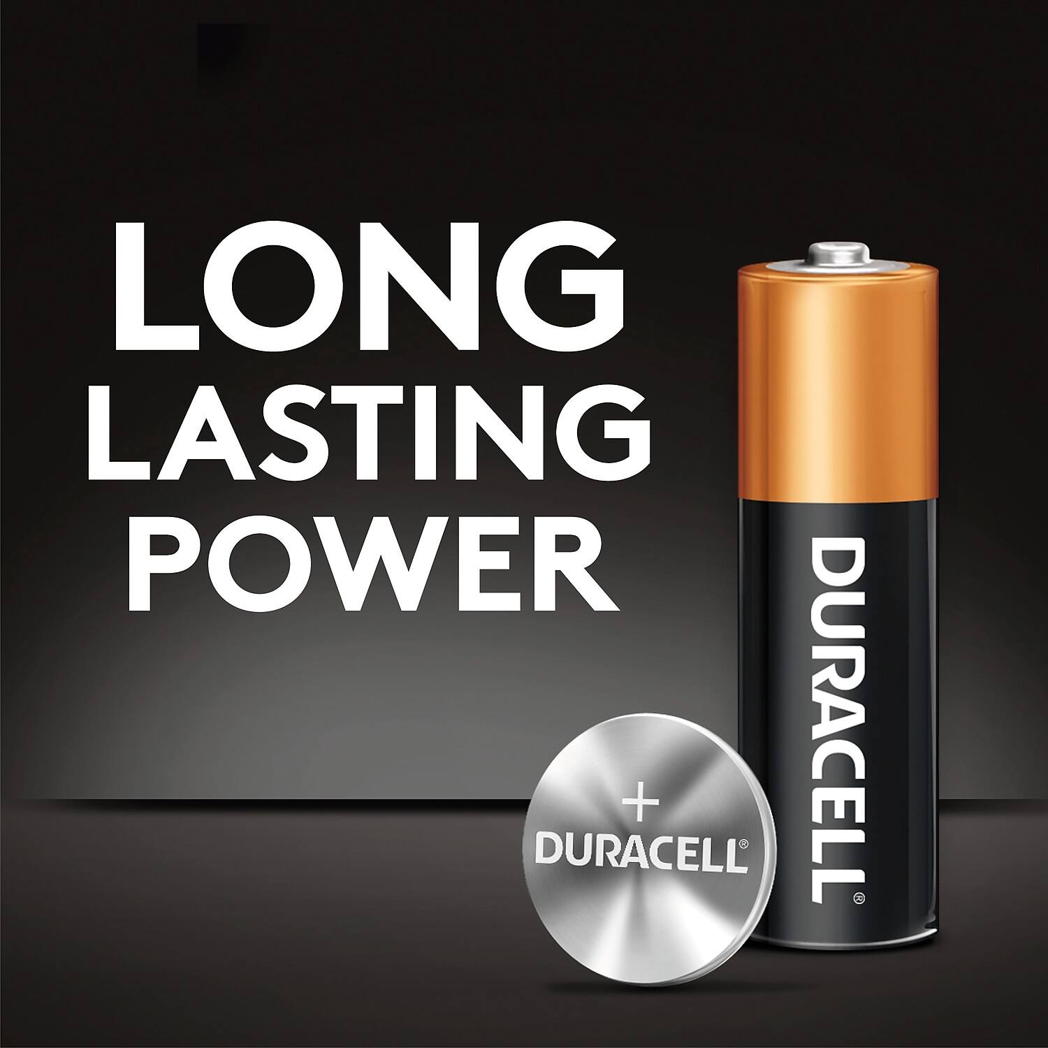LONG LASTING POWER  
DURACELL