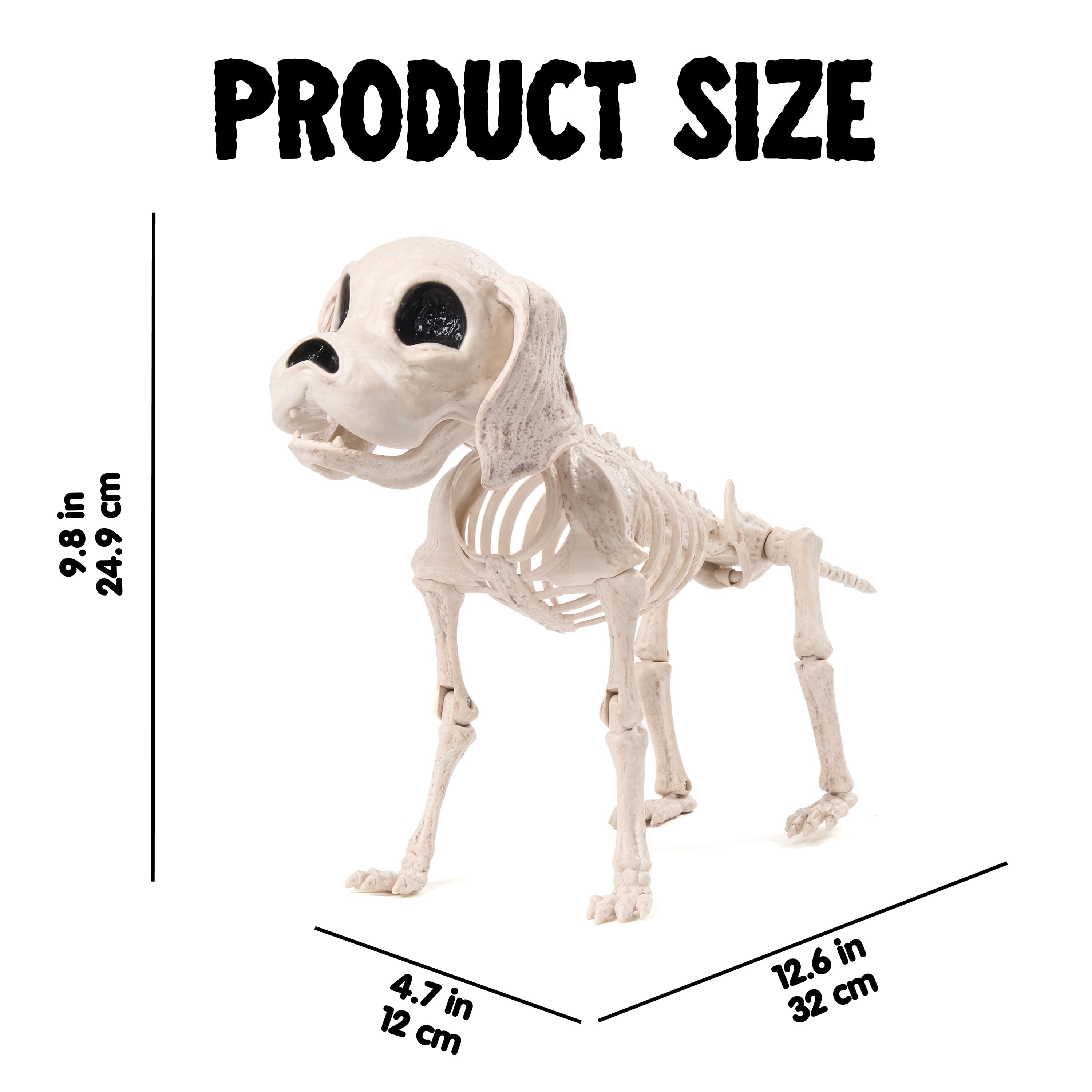 PRODUCT SIZE

9.8 in 24.9 cm

4.7 in 12 cm

12.6 in 32 cm