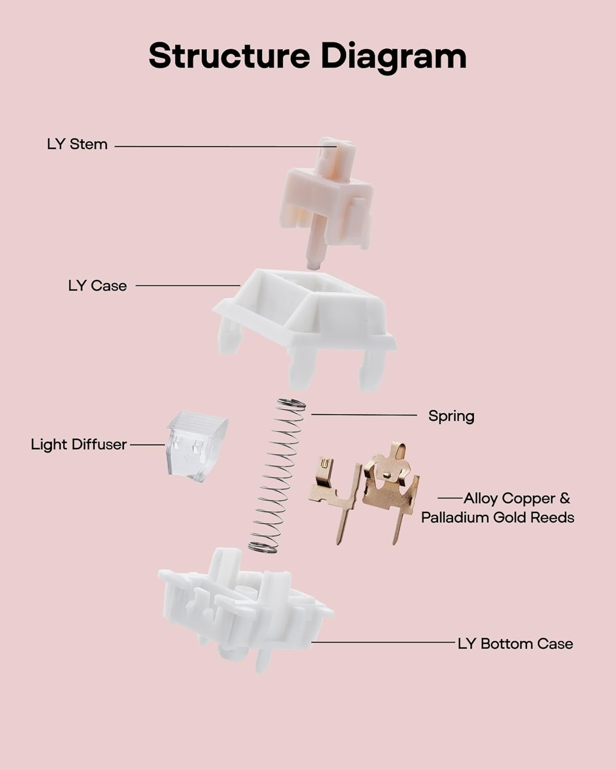 Structure Diagram

LY Stem  
LY Case  
Light Diffuser  
Spring  
Alloy Copper & Palladium Gold Reeds  
LY Bottom Case