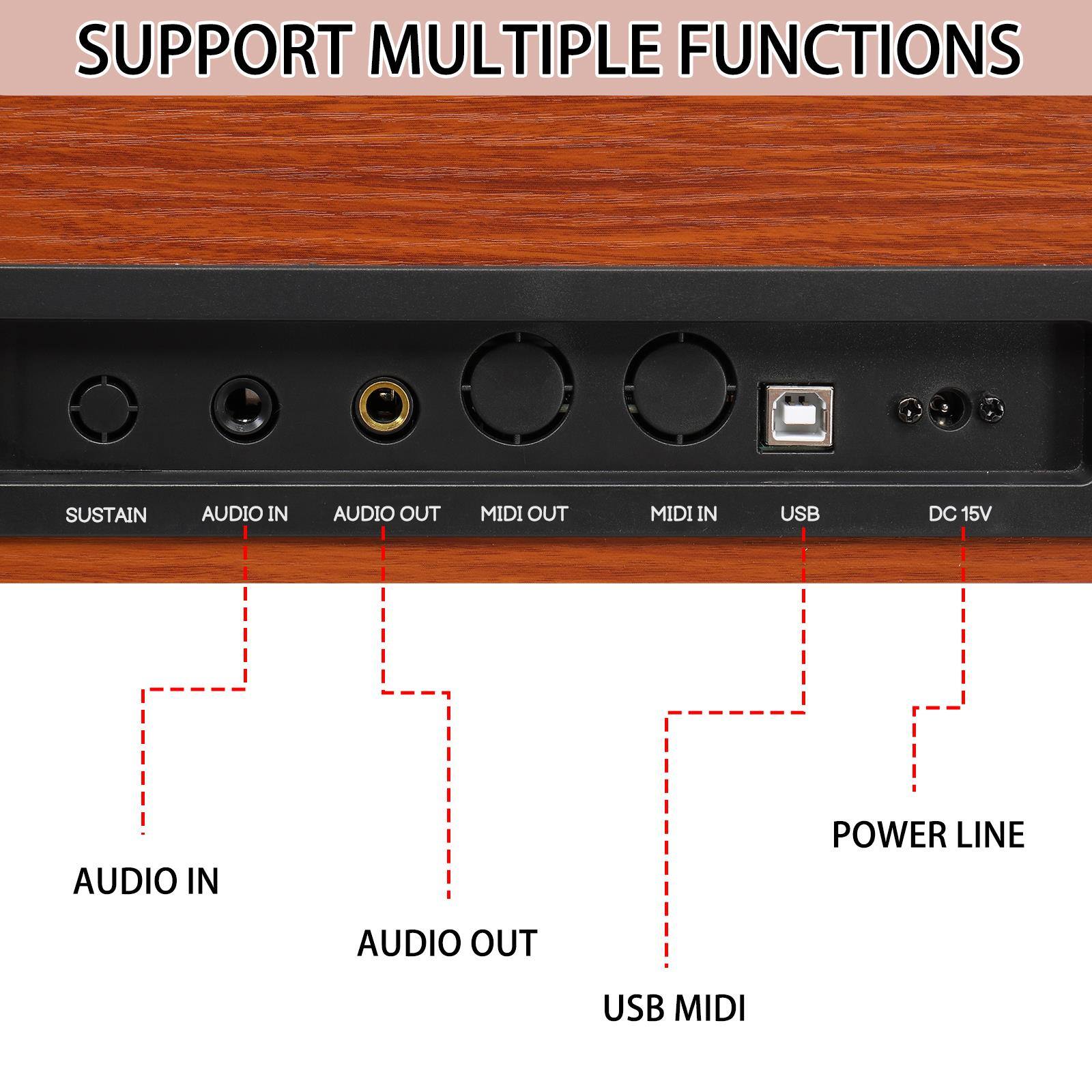SUPPORT MULTIPLE FUNCTIONS

- SUSTAIN
- AUDIO IN
- AUDIO OUT
- MIDI OUT
- MIDI IN
- USB
- DC 15V

- AUDIO IN
- AUDIO OUT
- USB MIDI
- POWER LINE