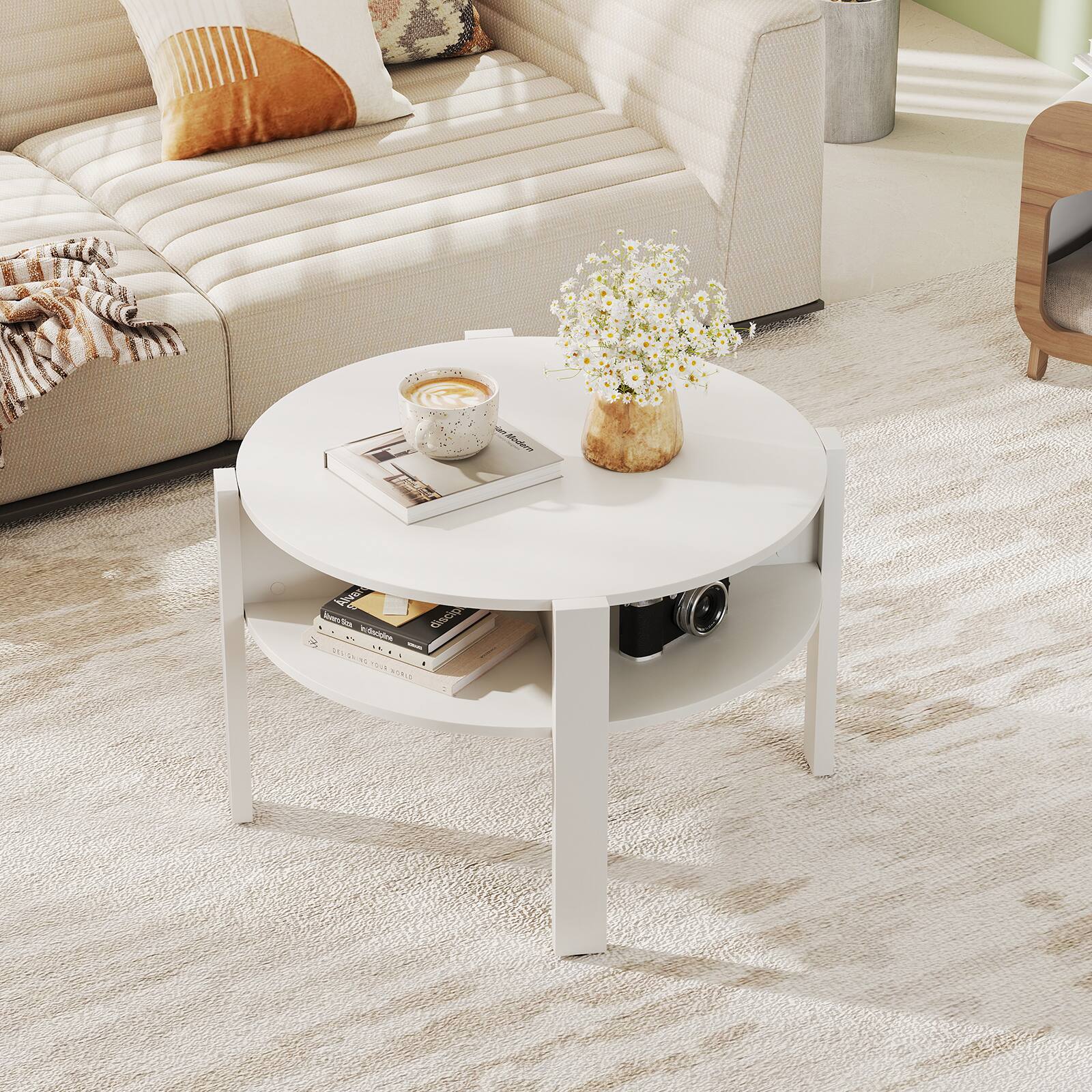 The text on the image reads:

"adidas A S SN JuN GACD AR - MUSCIS SU A SONIS"