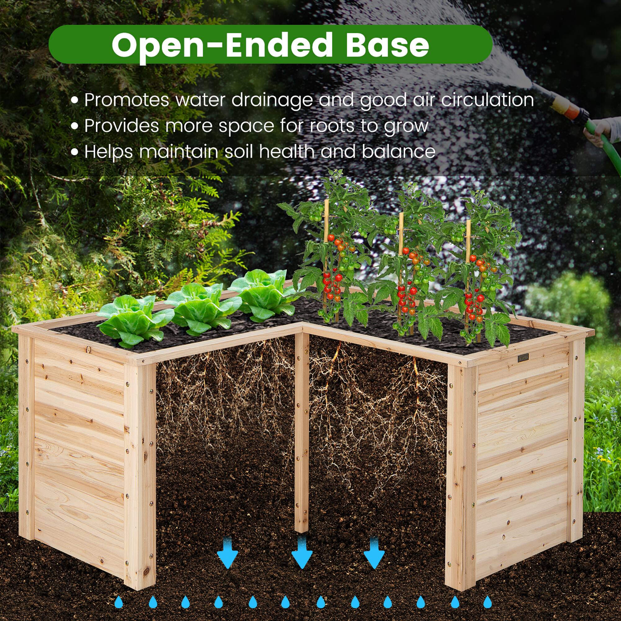Open-Ended Base Promotes water drainage and good air circulation Provides more space for roots to grow Helps maintain soil health and balance