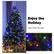 Enjoy the Holiday Warm White LED Lights