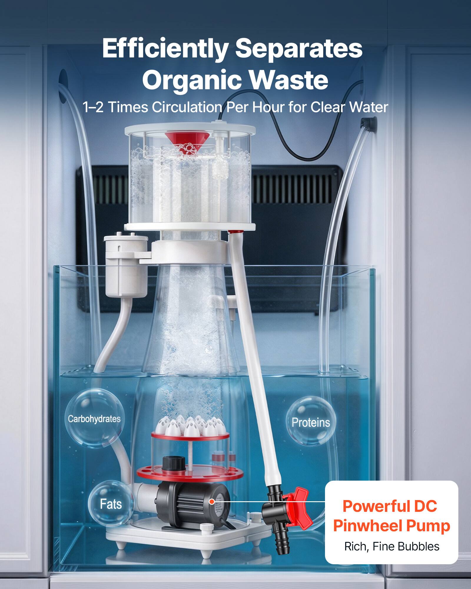 Efficiently Separates Organic Waste  
1-2 Times Circulation Per Hour for Clear Water  
Carbohydrates Proteins Fats  
Powerful DC Pinwheel Pump  
Rich, Fine Bubbles