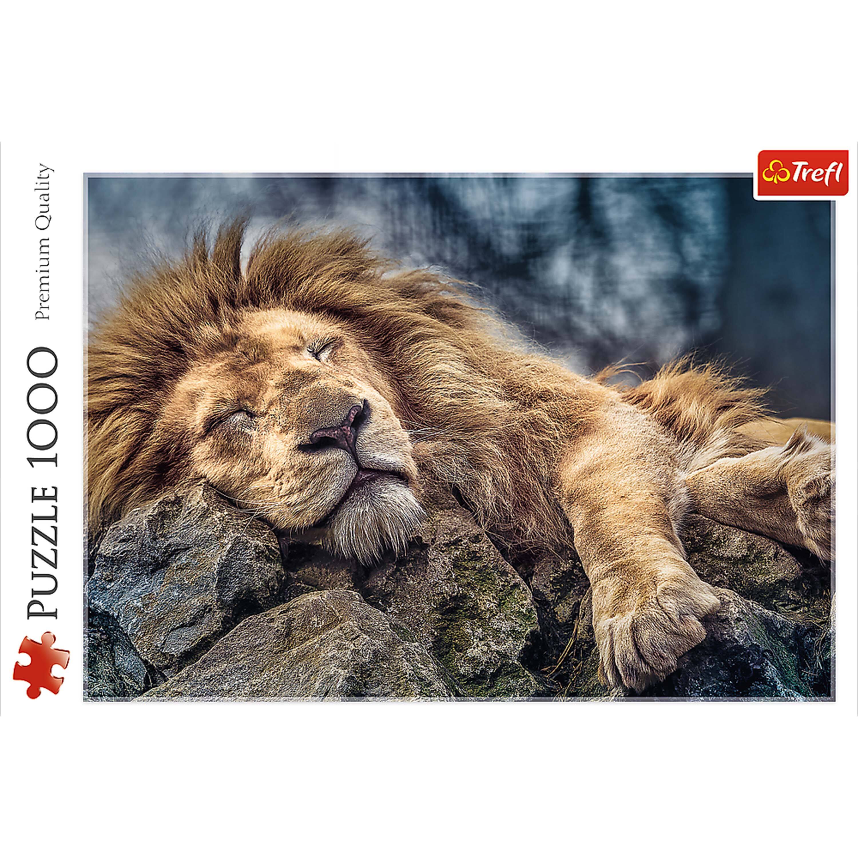 Quality Premium 1000 PUZZLE Trefl

PUZZLE 1000 Premium Quality