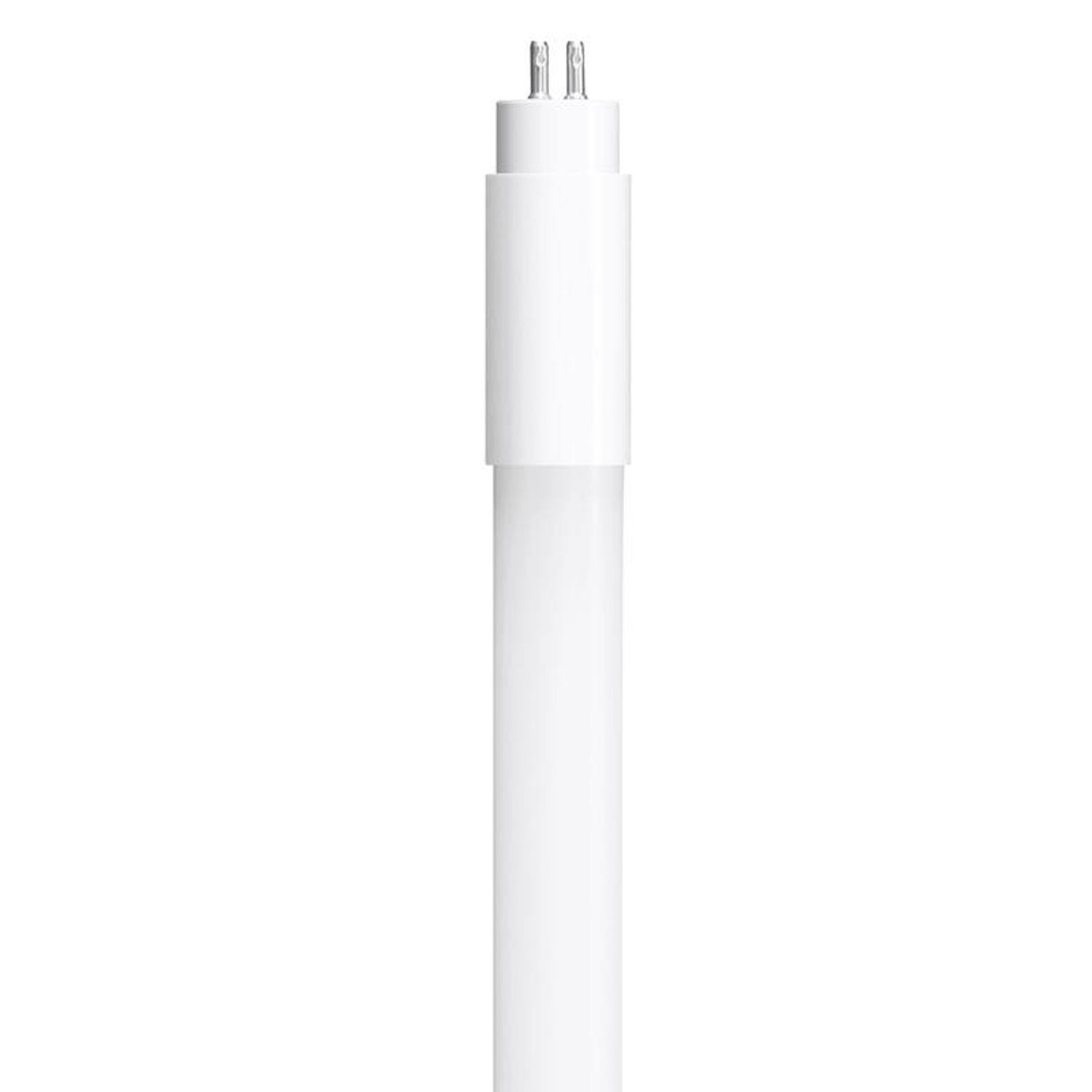 Angle. FEIT ELECTRIC - Feit T5 Daylight Deluxe 21 in. Bi-Pin Linear LED Linear Lamp 13 Watt Equivalence 1 pk.