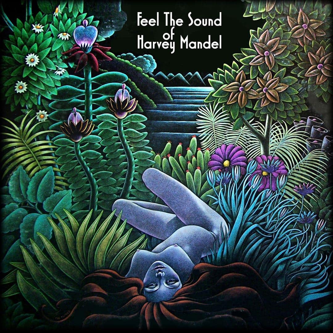 Feel the Sound of Harvey Mandel [LP] [VINYL] price history on PriceWatchPro