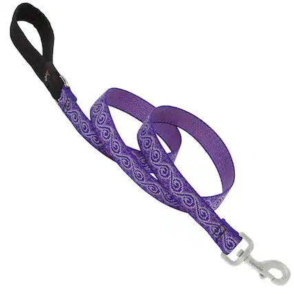 Front. LupinePet - LupinePet Original Designs Multicolor Jelly Roll Nylon Dog Leash - Multicolored.