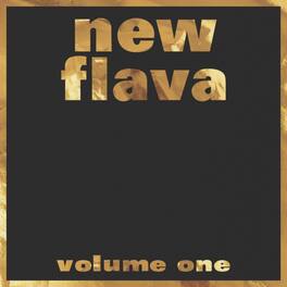 Various Artists - New Flava Vol. 1 (Various Artists) - VINYL LP