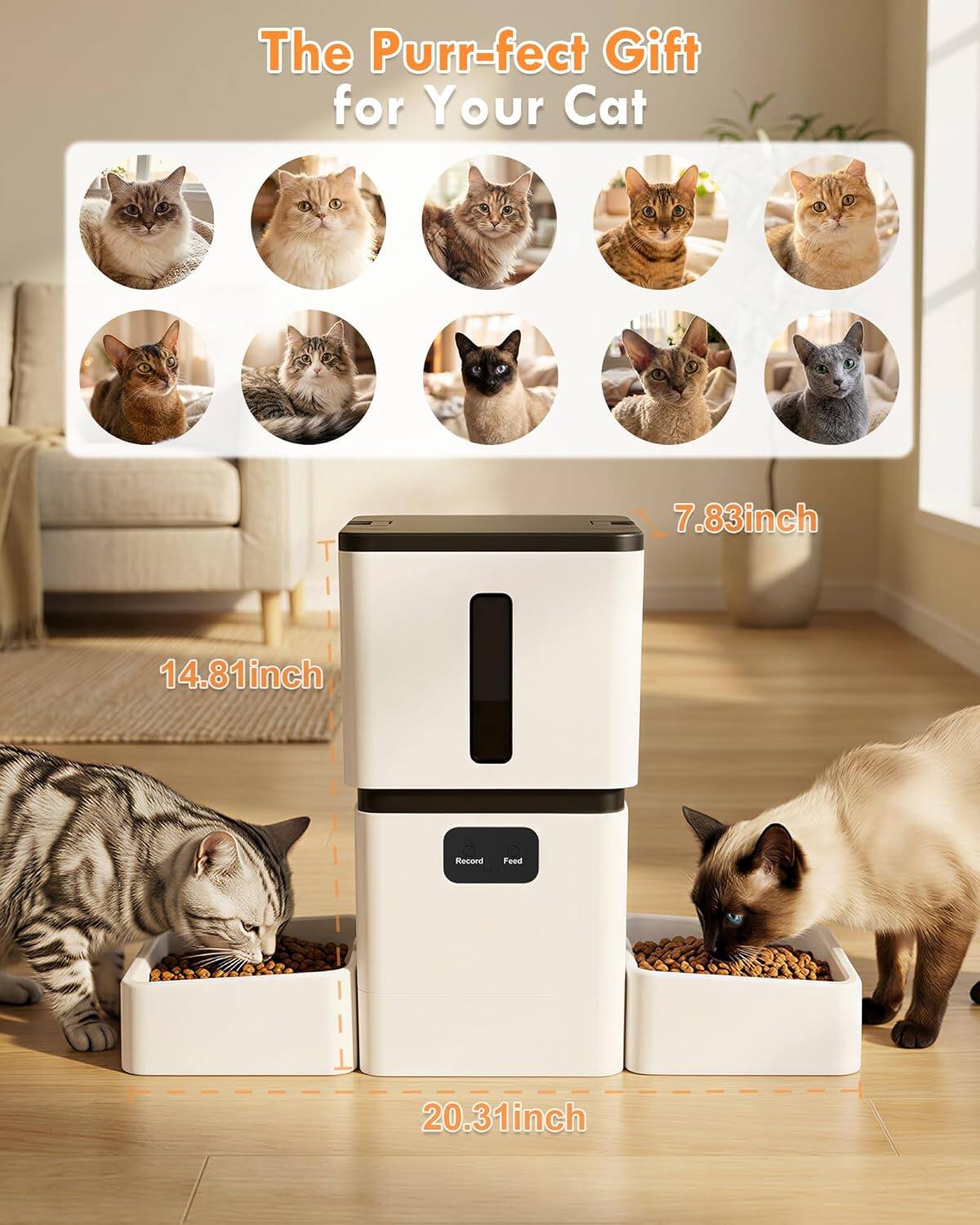 The Purr-fect Gift for Your Cat  
7.83 inch  
14.81 inch  
20.31 inch