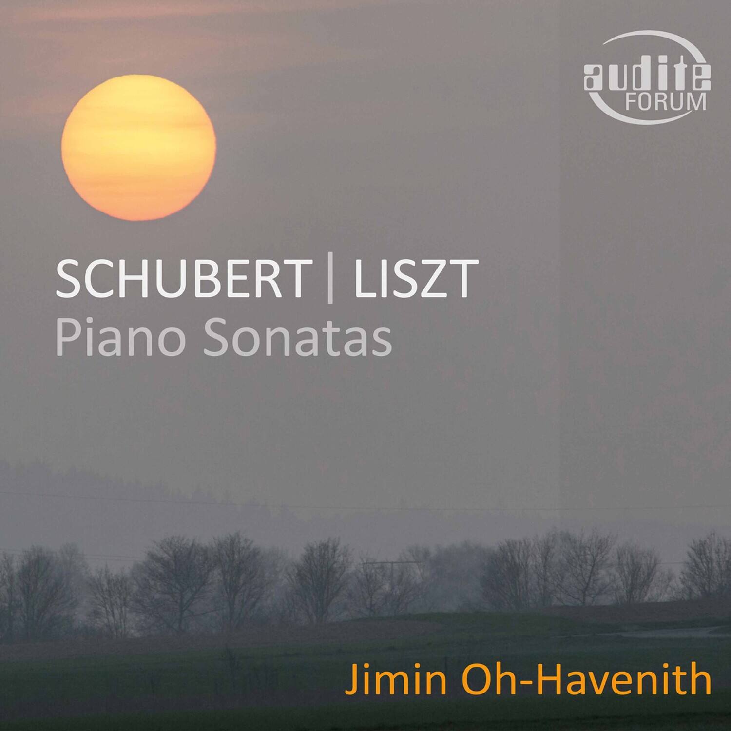 SCHUBERT | LISZT  
Piano Sonatas  

Jimin Oh-Havenith  

audite FORUM