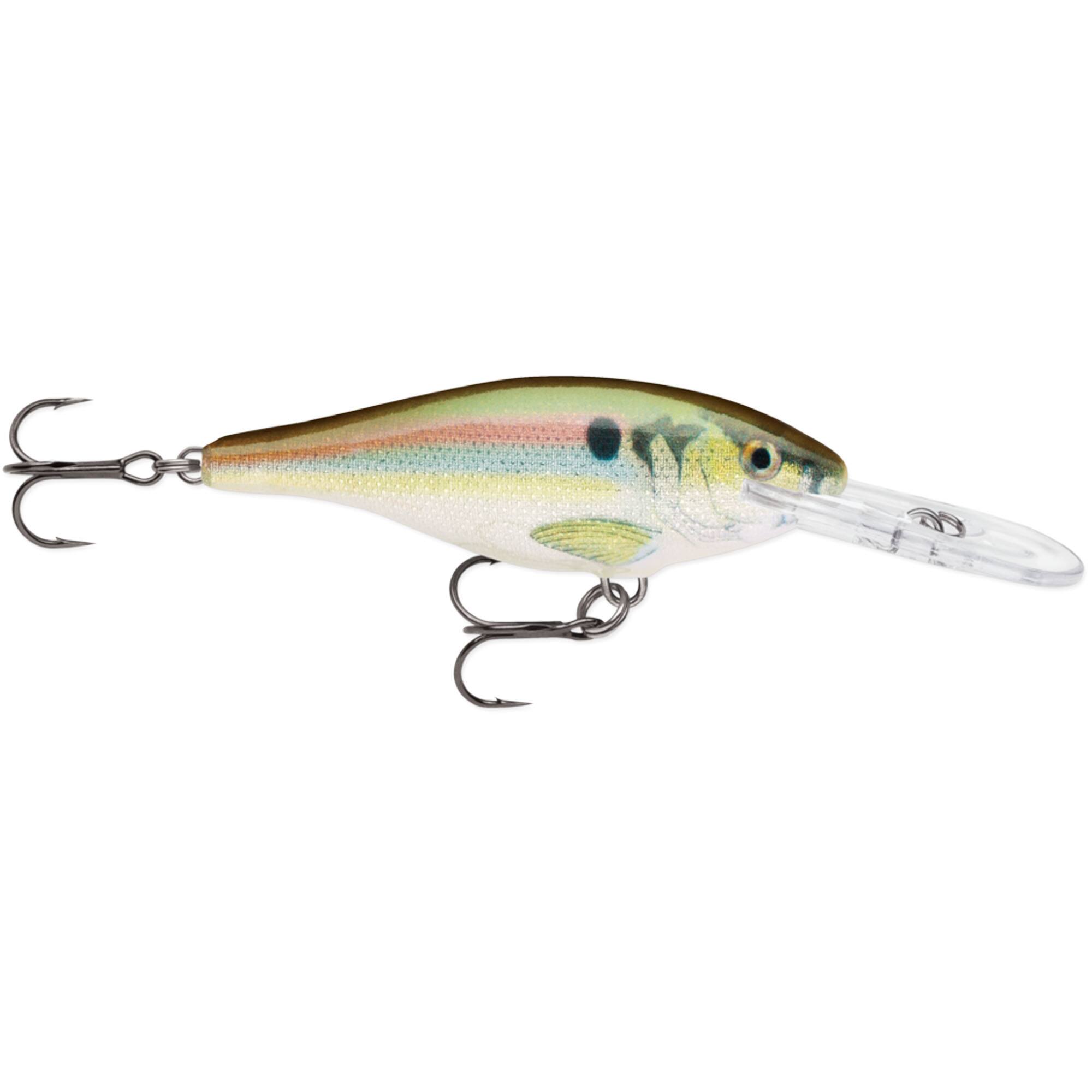 Live River Shad