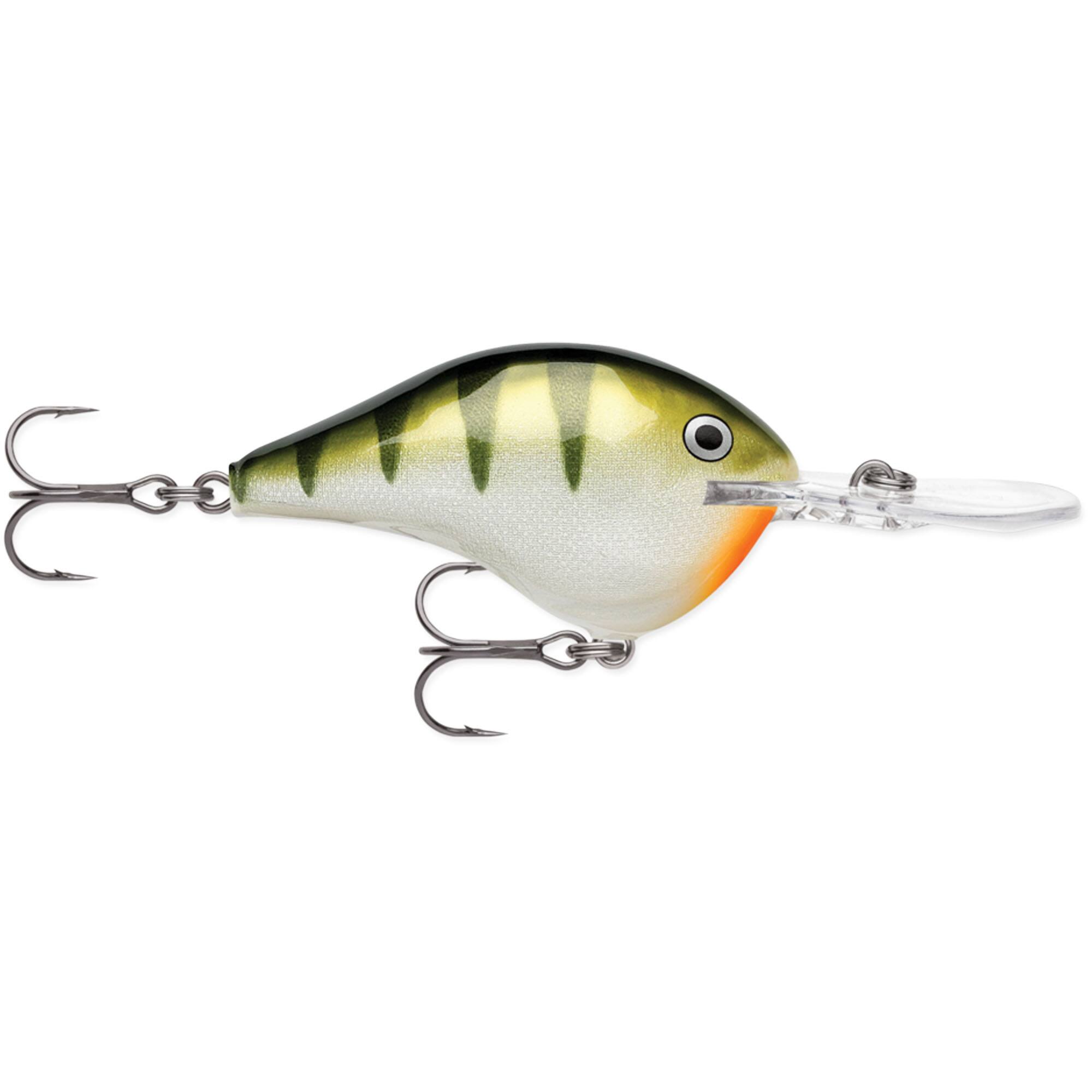 Yellow Perch