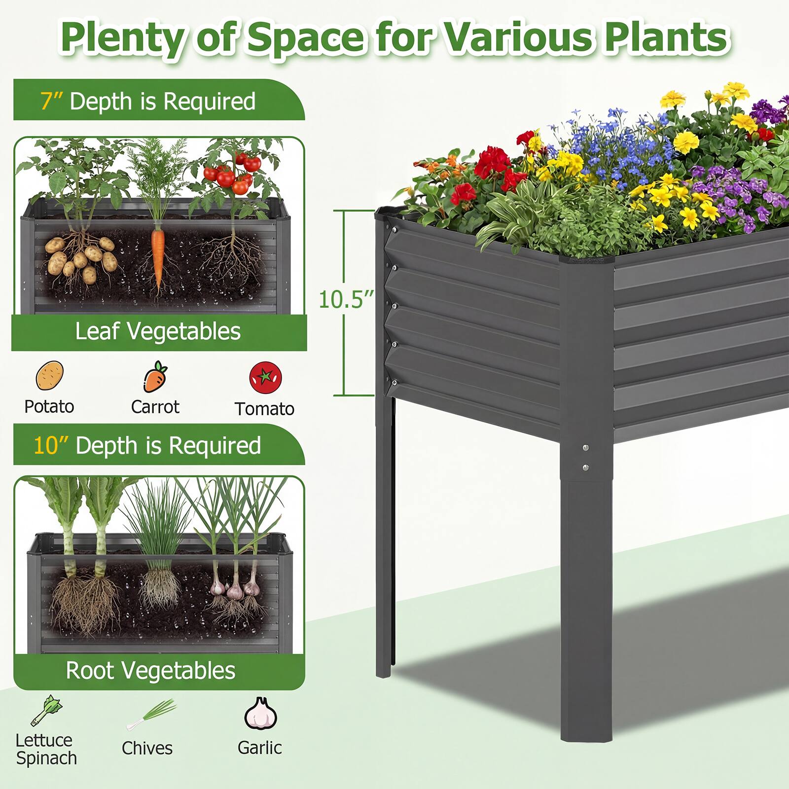 Plenty of Space for Various Plants

7" Depth is Required  
Leaf Vegetables  
- Potato  
- Carrot  
- Tomato  

10.5"  
10" Depth is Required  
Root Vegetables  
- Lettuce  
- Spinach  
- Chives  
- Garlic