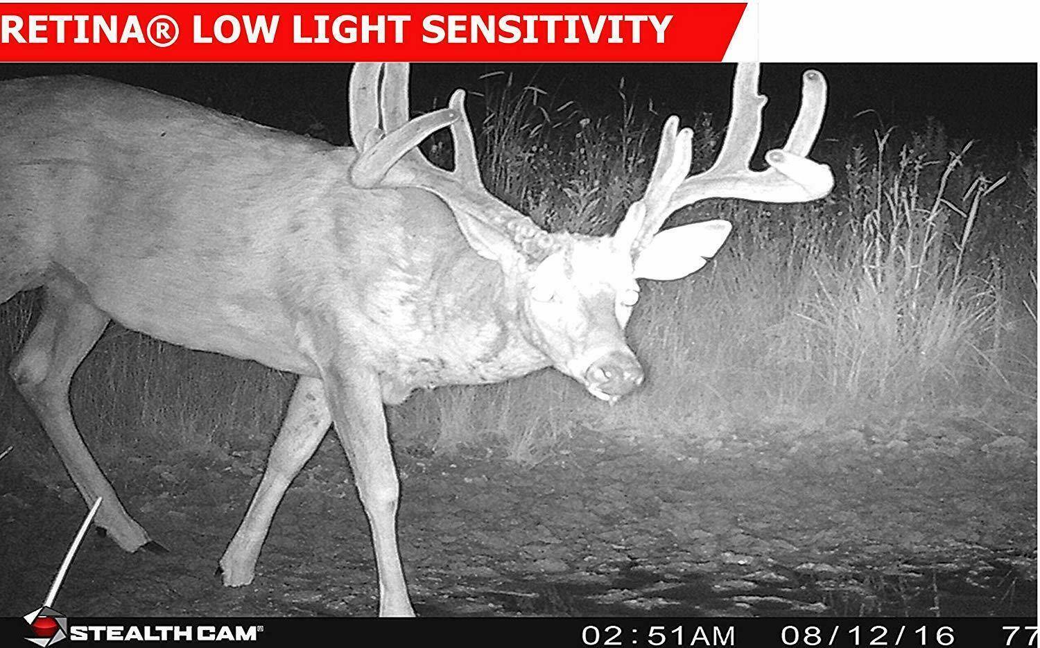 RETINA® LOW LIGHT SENSITIVITY

STEALTH CAM

02:51 AM 08/12/16 77