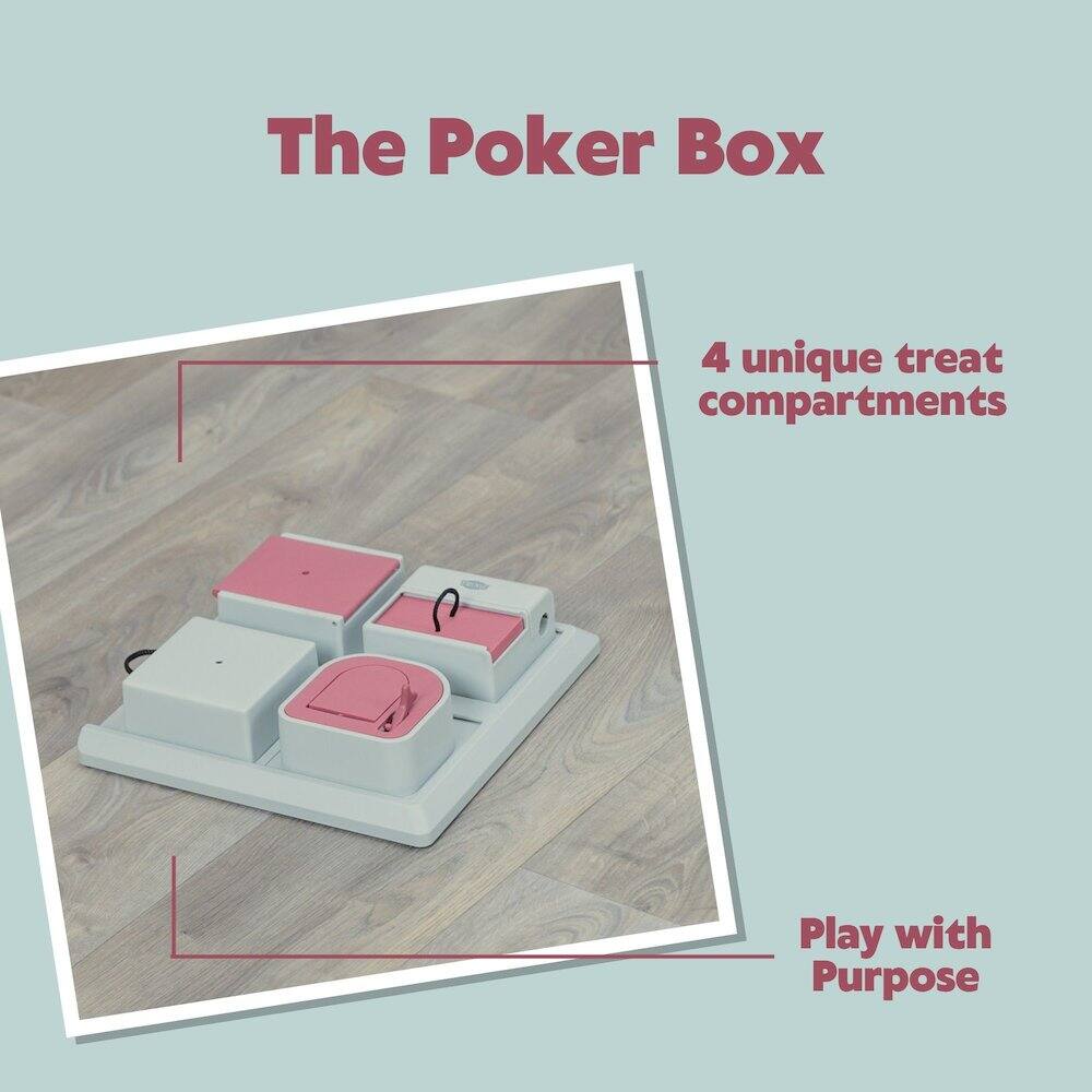 The Poker Box

4 unique treat compartments

Play with Purpose