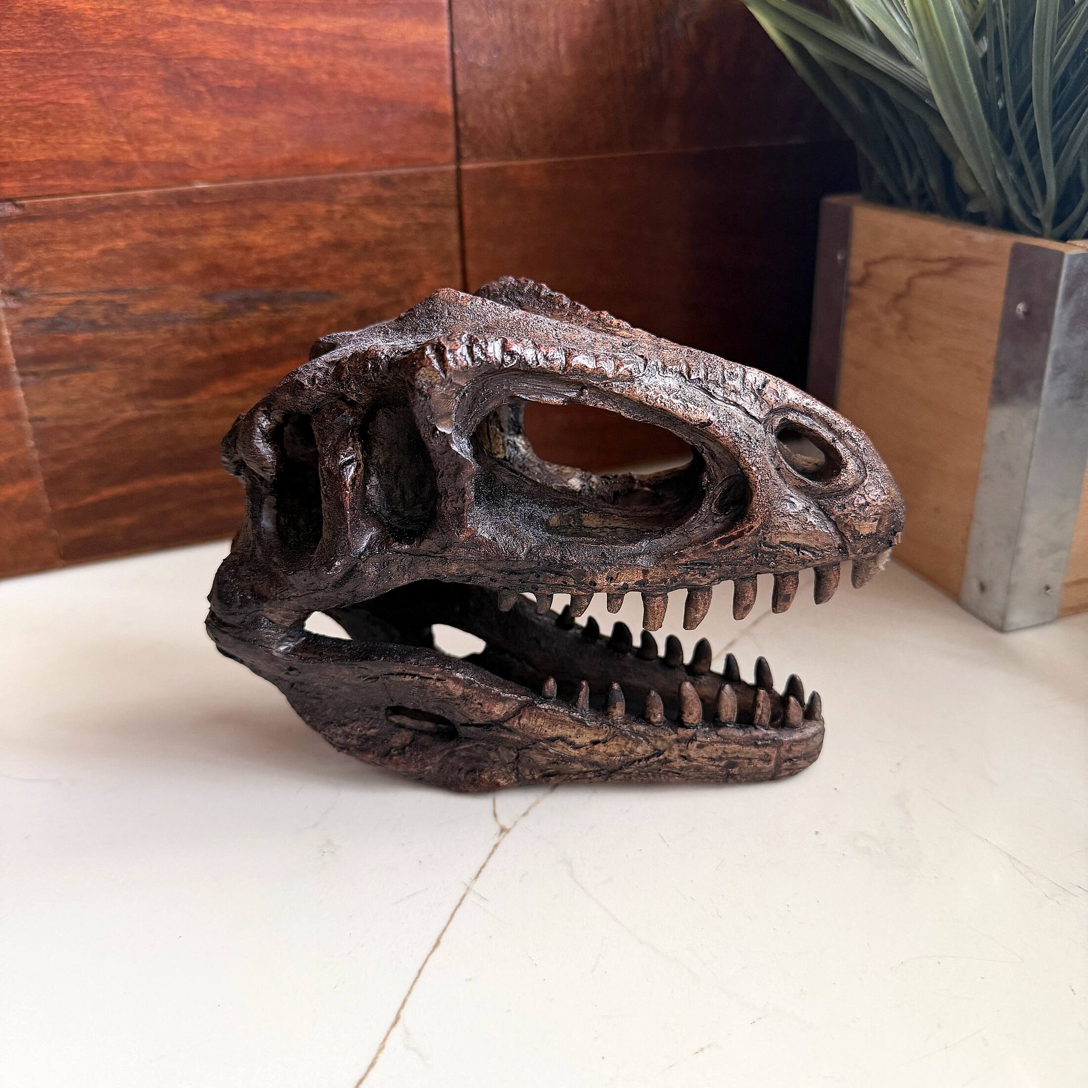 Alt View 5. Things2Die4 - Giganotosaurus Dinosaur Statue Weathered Brown Resin 6.5 Inch Tabletop Decor - Brown.