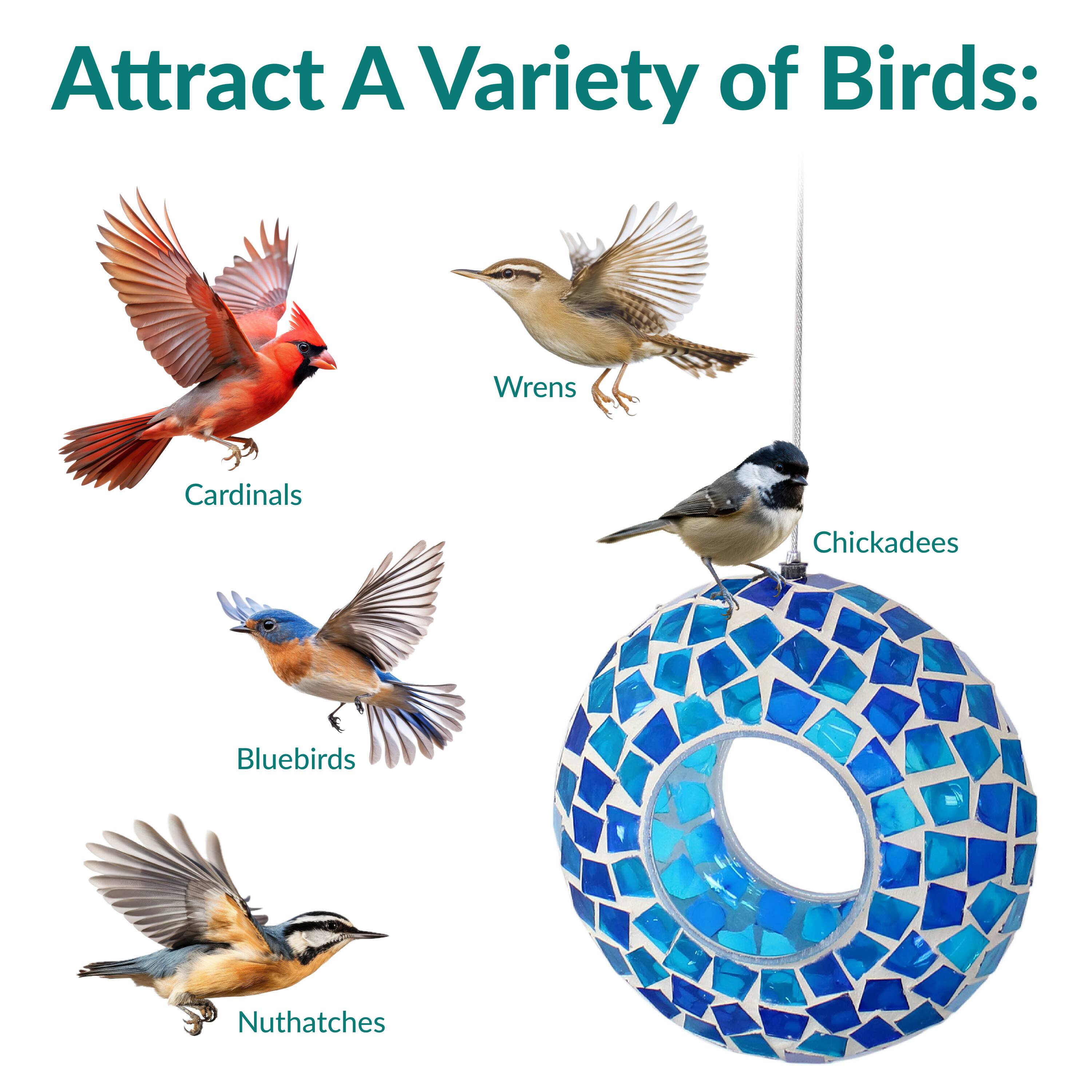 Attract A Variety of Birds:

- Cardinals
- Wrens
- Chickadees
- Bluebirds
- Nuthatches